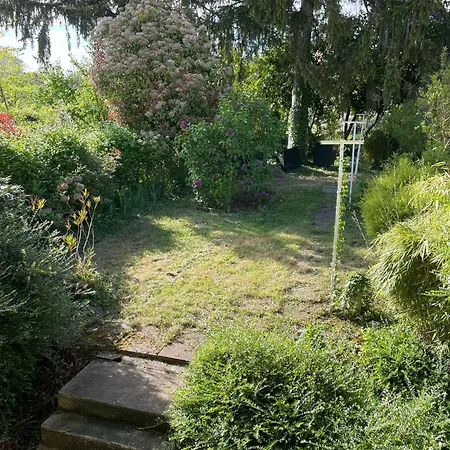 Daire Centre Avec Jardin Vichy
