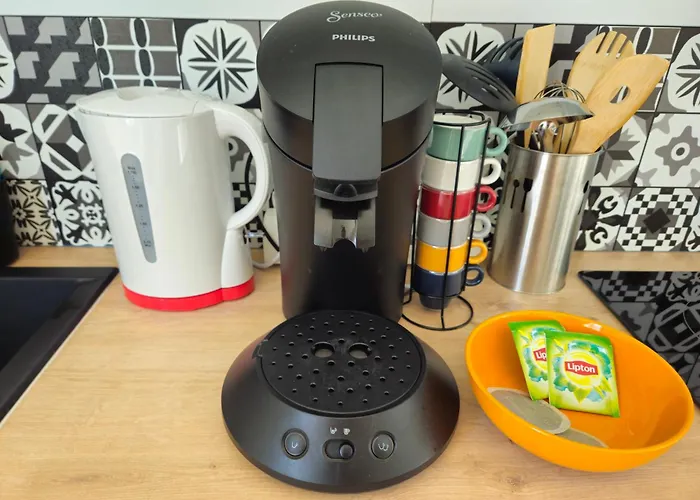 Apartament Centre Avec Jardin *